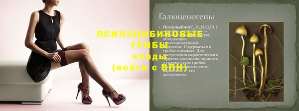прущий лед Богданович