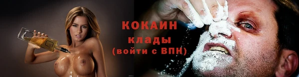 крисы Белоозёрский