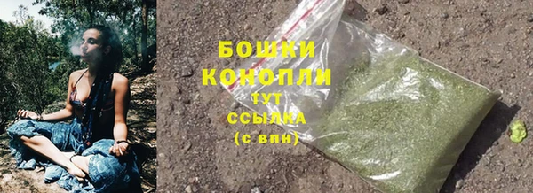 крисы Белоозёрский