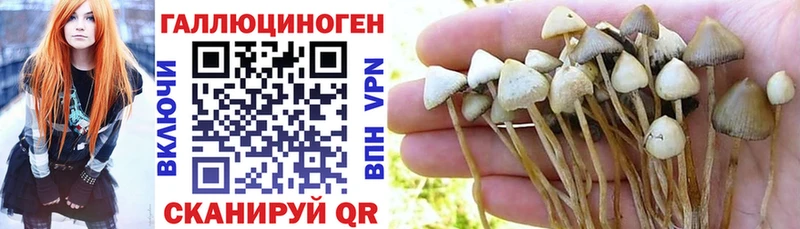 Псилоцибиновые грибы ЛСД  дарнет шоп  Медынь 
